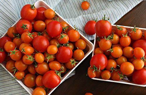 Mẹo bảo quản cà chua luôn tươi ngon quanh năm không phải ai cũng biết