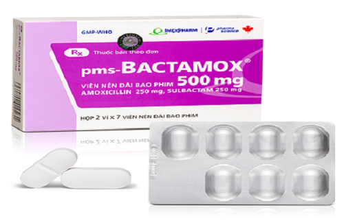 Thuốc pms-Bactamox 500mg - Thông tin và hướng dẫn sử dụng thuốc
