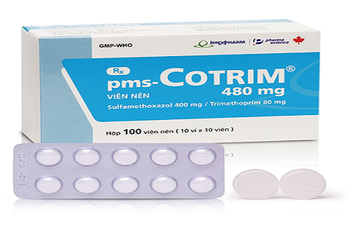 Thuốc pms-Cotrim 480 - Thông tin cơ bản và hướng dẫn sử dụng thuốc