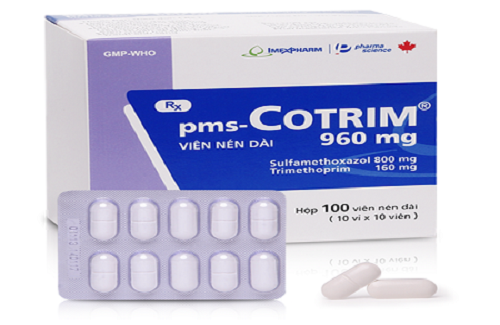 Thuốc pms-Cotrim 960 - Thông tin và hướng dẫn sử dụng thuốc