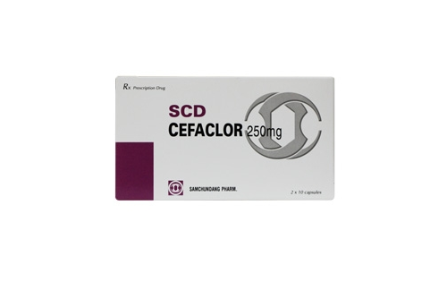 SCD Cefaclor 250mg và một số thông tin cơ bản về thuốc