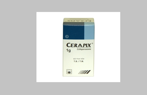 Ceraapix và một số thông tin cơ bản về thuốc bạn nên biết