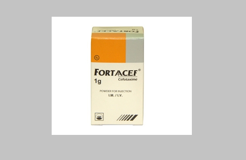 Fortaacef và một số thông tin cơ bản về thuốc bạn nên chú ý