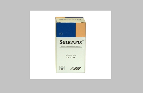 Sulraapix và một số thông tin cơ bản bạn có thể tham khảo