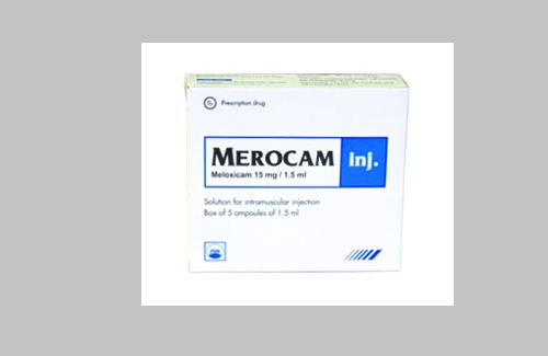 Merocam inj. và một số thông tin cơ bản về thuốc bạn nên chú ý