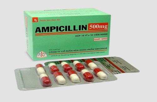 Ampicillin 500mg - Thông tin và hướng dẫn sử dụng thuốc