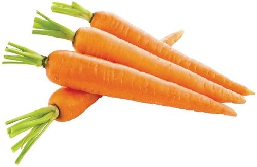 Củ cà rốt có tác dụng gì - Vị thuốc dân dã trị bách bệnh của mọi người