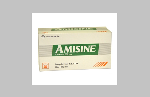 Amisine và một số thông tin cơ bản về thuốc bạn nên chú ý