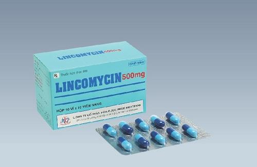 Lincomycin 500mg - Thông tin và hướng dẫn sử dụng thuốc