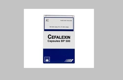 Cefalexin Capsule BP 500 và một số thông tin cơ bản