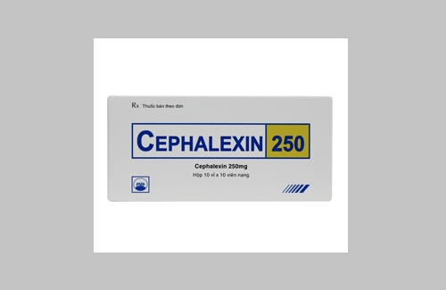 Cephalexin 250 PMP và một số thông tin cơ bản về thuốc