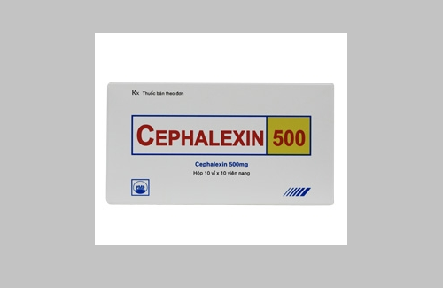 Cephalexin 500 PMP và một số thông tin cơ bản về thuốc