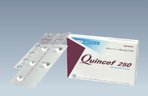 Quincef 250 - Thông tin cơ bản và hướng dẫn sử dụng thuốc