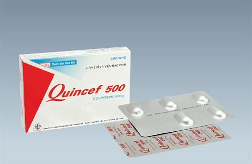 Thuốc Quincef 500 và các thông tin cơ bản mà bạn đọc cần chú ý