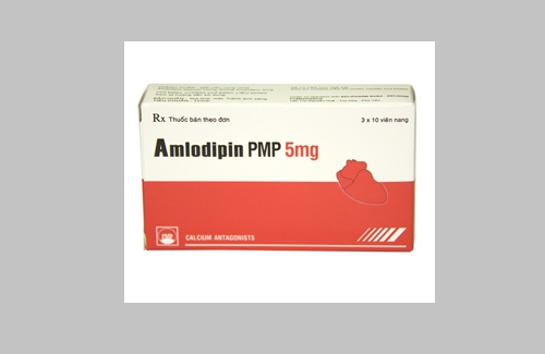 Amlodipin pmp 5mg và một số thông tin cơ bản về thuốc