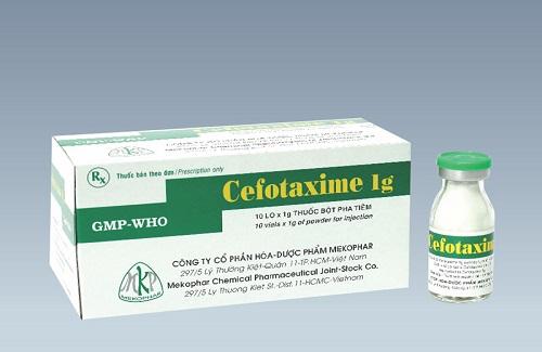 Cefotaxime 1g - Công dụng, liều dùng và thông tin cơ bản về thuốc