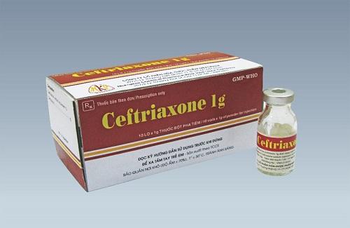 Ceftriaxone 1g - Thông tin cơ bản và hướng dẫn sử dụng thuốc