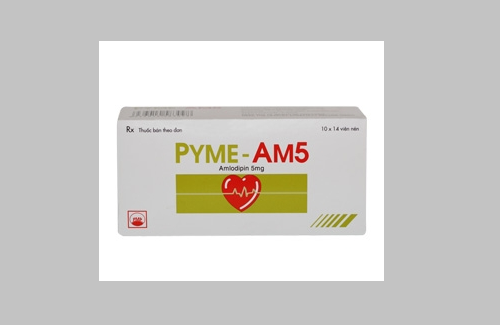 Pyme - am5 và một số thông tin cơ bản bạn nên chú ý
