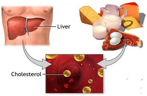 Cholesterol cao - nguyên nhân từ đâu và phòng tránh như thế nào?