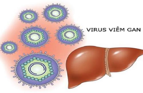 Virus viêm gan B có phải nguyên nhân gây bệnh xơ gan