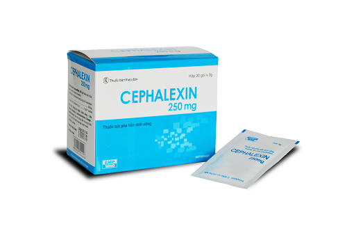 Cephalexin 250mg và một số thông tin cơ bản về thuốc