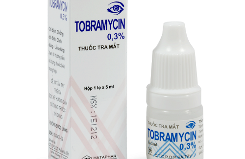 Tobramycin 5ml và một số thông tin cơ bản về thuốc