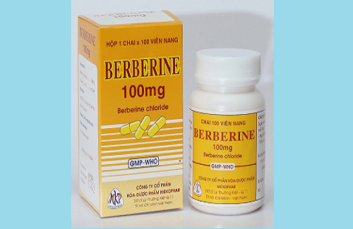 Berberine 100mg - Thông tin cơ bản và hướng dẫn sử dụng thuốc