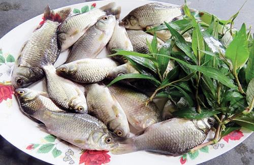 Món ăn từ cá diếc - Thần dược giúp nam giới "hoành tráng" hơn