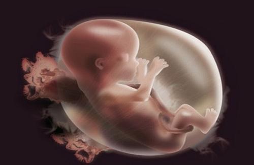 Dị tật thai nhi - Cách chuẩn đoán sớm để phòng ngừa dị tật