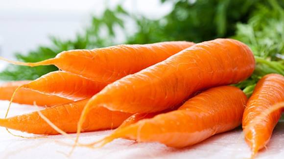 Công dụng của cà rốt tốt cho sức khỏe bạn có biết không ?