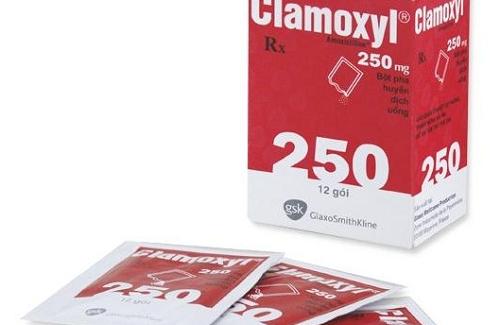 Clamoxyl và một số thông tin cơ bản mà bạn nên chú ý