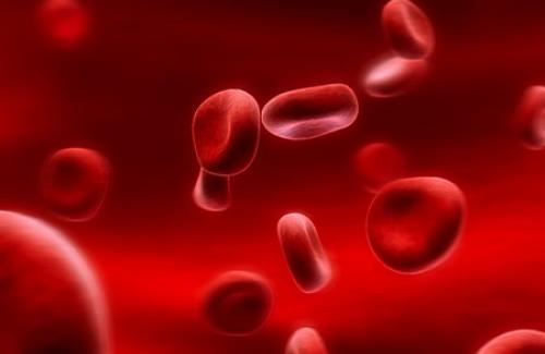 Thiếu máu tán huyết là gì? Triệu chứng, nguyên nhân và điều trị bệnh