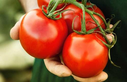 Chín công dụng của cà chua đối với sức khỏe bạn đã biết chưa!