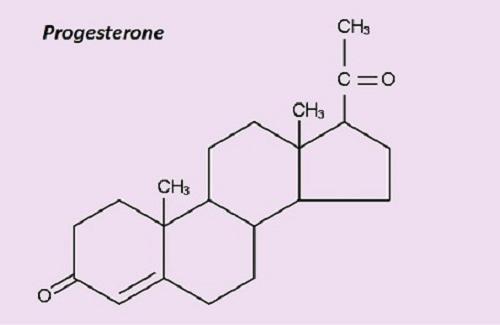 Progesterone là gì? Progesterone có vai trò gì trong cơ thể?