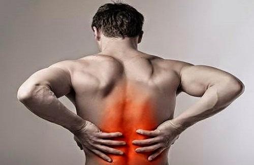 Mách cho bạn một số bài thuốc chữa chứng đau lưng hiệu quả