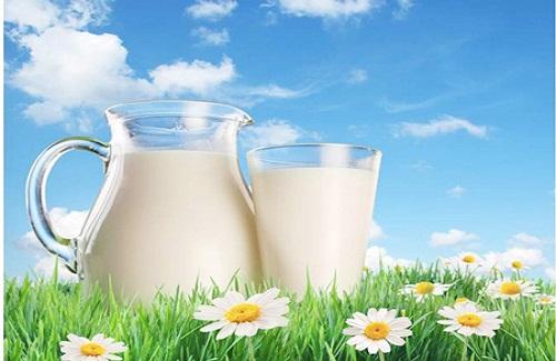 Sử dụng và bảo quản sữa tươi đúng cách như thế nào?