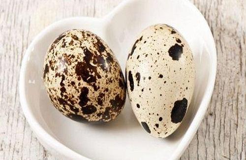 Ăn trứng cút có tác dụng gì bạn có thực sự biết không?