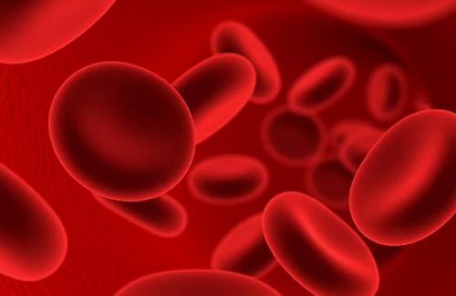 Thiếu máu bất sản là gì? Triệu chứng, nguyên nhân và điều trị bệnh