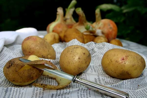 Tác dụng của vỏ khoai tây đối với sức khỏe ít ai biết