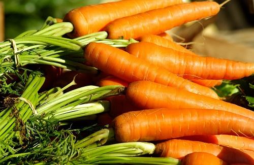 Một số tác dụng chữa bệnh của cà rốt nếu bạn ăn thường xuyên