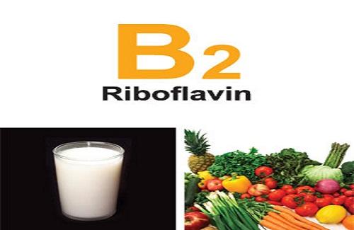 Công dụng của vitamin B2 rất quan trọng với cơ thể con người