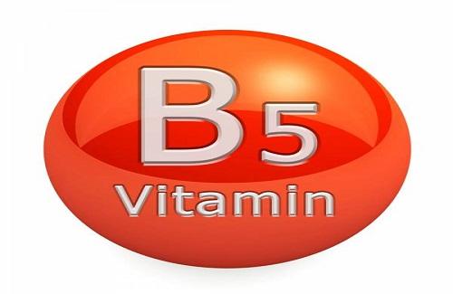 Vitamin b5 có tác dụng gì với sức khỏe con người?