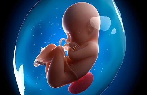 Suy dinh dưỡng thai nhi - Nguyên nhân và những nguy cơ tiềm ẩn