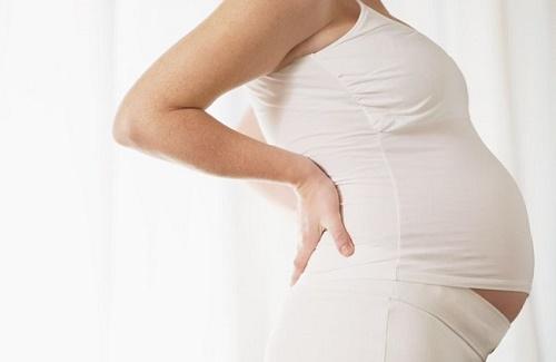 Những thảo dược bà bầu nên tránh xa để không hại thai nhi