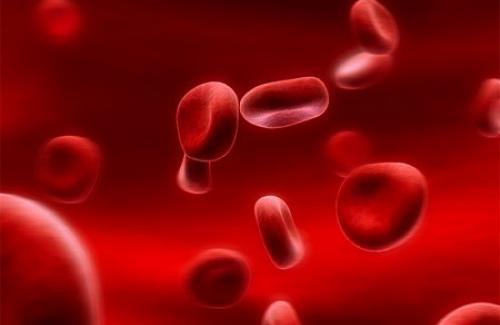 Thiếu máu huyết tán là gì? Triệu chứng, nguyên nhân và điều trị bệnh