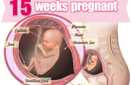 Thai nhi 15 tuần tuổi - Trạng thái cảm xúc của thai nhi đã xuất hiện