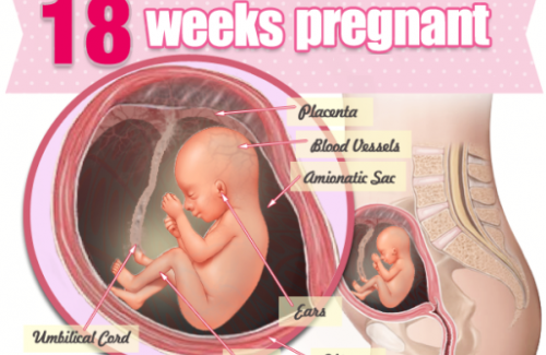 Thai nhi 18 tuần tuổi - Thời gian bùng nổ phát triển các giác quan của bé