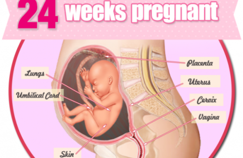 Thai nhi 24 tuần tuổi - Tuần thai hình thành tính cách của bé