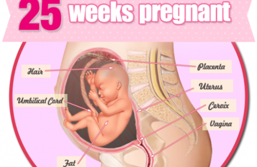 Thai nhi 25 tuần tuổi - Vị giác của bé đã phát triển vượt bậc
