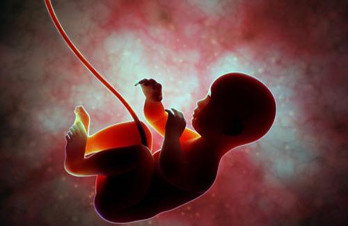 Khám phá cách thai nhi cảm nhận thế giới ở trong bụng mẹ